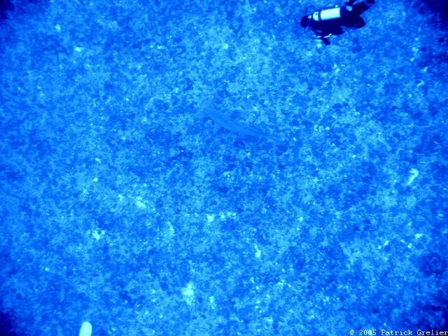 05-Rgroa-047.jpg - UNICODE