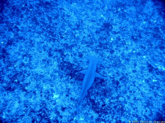 05-Rgroa-048.jpg - UNICODE