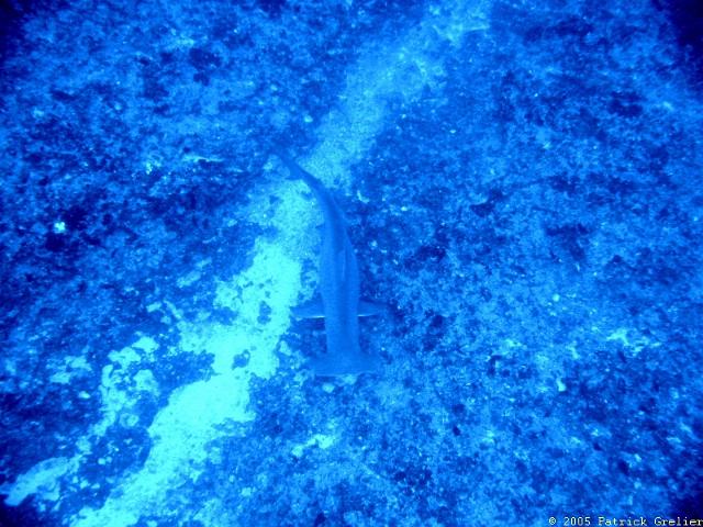 05-Rgroa-049.jpg - UNICODE