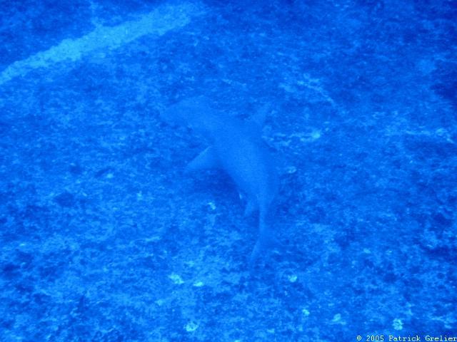 05-Rgroa-051.jpg - UNICODE