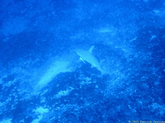 05-Rgroa-052.jpg - UNICODE