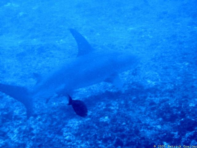 05-Rgroa-054.jpg - UNICODE