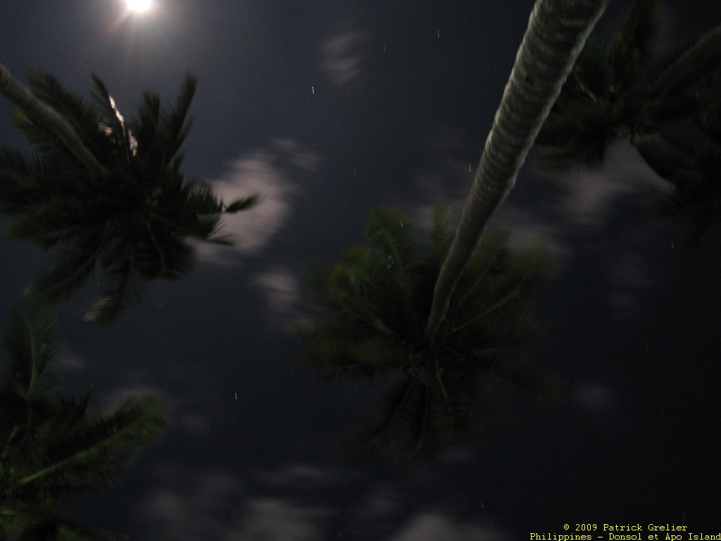 09-Phlppns-045.jpg - vue du ciel sur Apo Island une nuit de pleine lune et de grand vent.